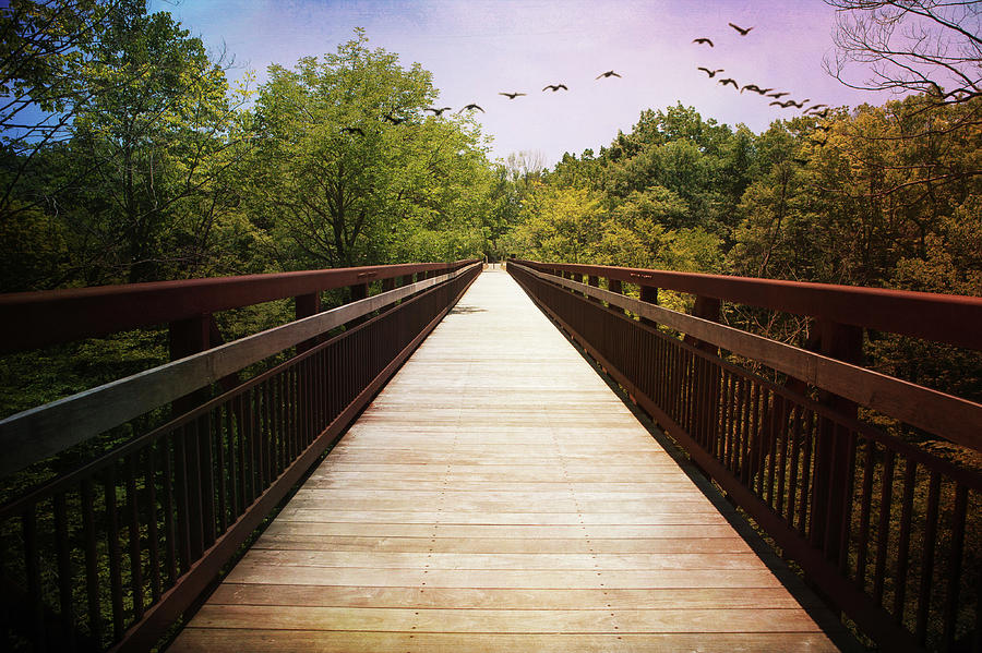Long Walking Bridge 4 Photograph by Marilyn Hunt