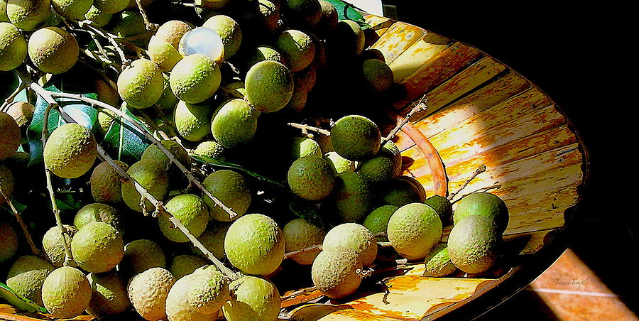 Longan the exotic dragons eye fruit Photograph by James Temple