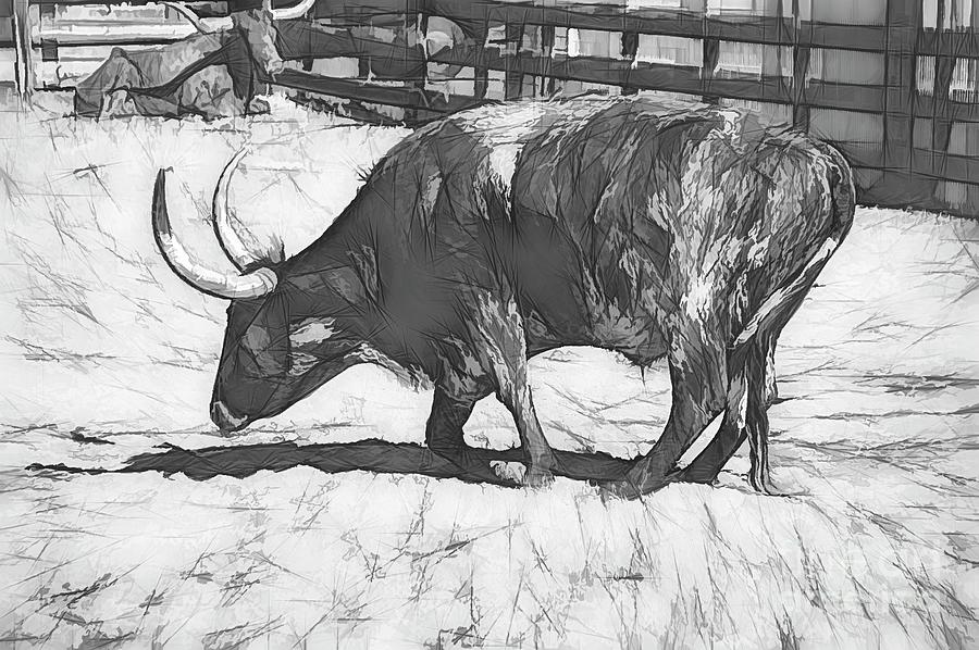 Longhorn Sketched Photograph by Diana Mary Sharpton