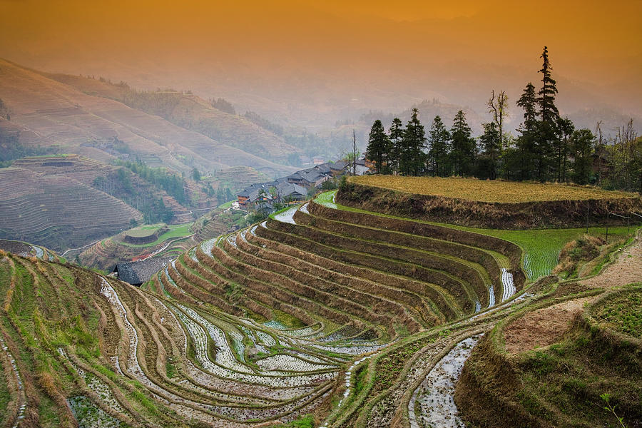 Longji Terraces,guangxi Photograph by Best View Stock