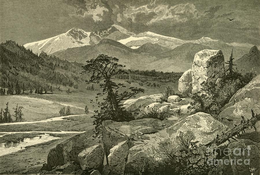 Longs Peak Drawing By Print Collector - Fine Art America