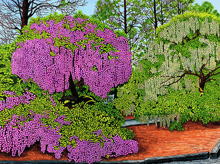 Garden Scene Painting - Longwood Gardens - Wisteria, Pennsylvania by Thelma Winter