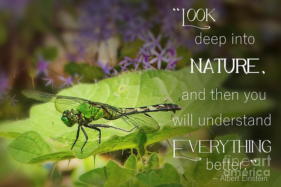 Look Deep Into Nature  Photograph by Mary Lou Chmura