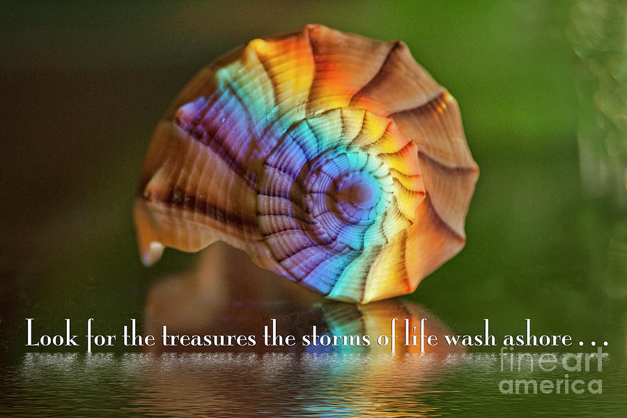 Look for the Treasures the Storms of Life Wash Ashore Photograph by Bonnie Barry