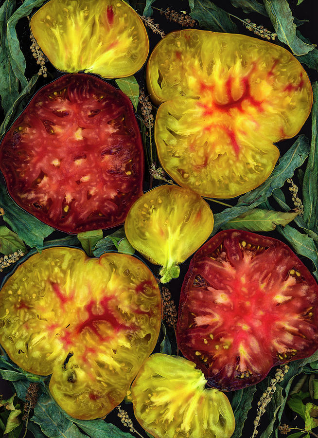 Look Inside Heirloom Tomatoes by Sarah Phillips Look Inside Heirloom Tomatoes by Sarah Phillips