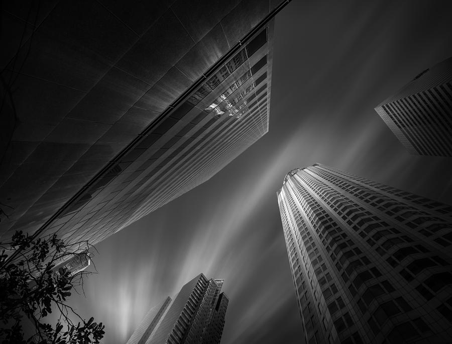 Look Up With Us Photograph by Yoshihiko Wada