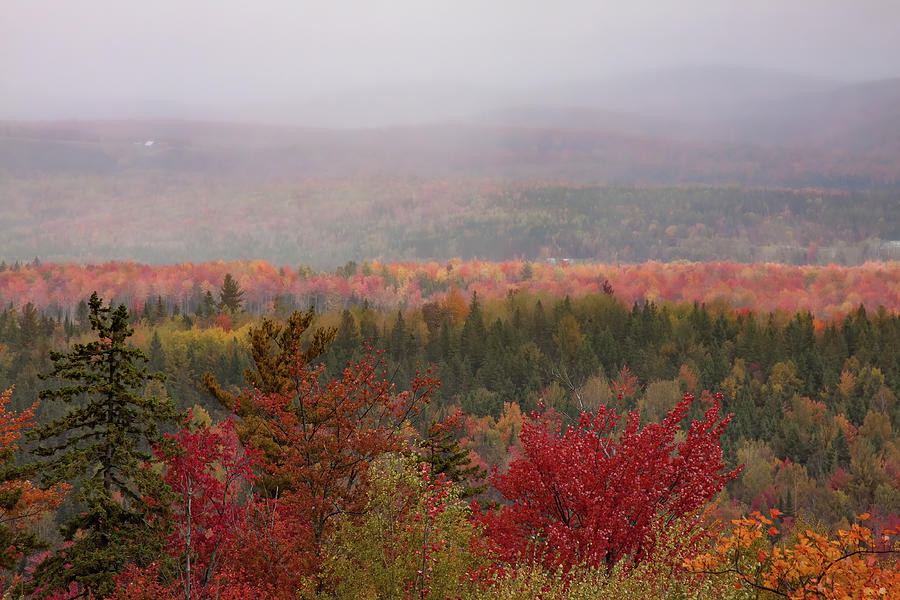 Looking Across Autumn Hills Photograph