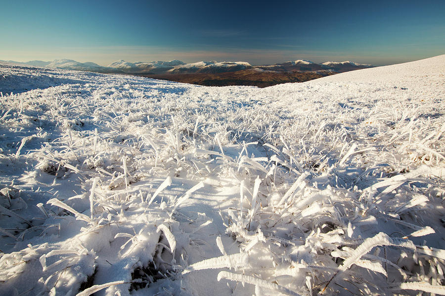 Lake District National Park Photograph - Looking Across Hoare Frosted Grass On The Helvellyn Range, Lake District, Uk. by Cavan Images
