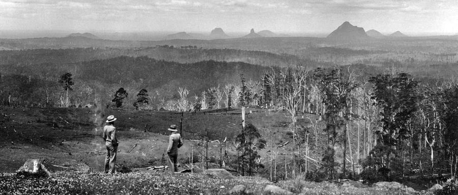 Looking across Wootha towards the Glass House Mountains  1931 Painting by Celestial Images