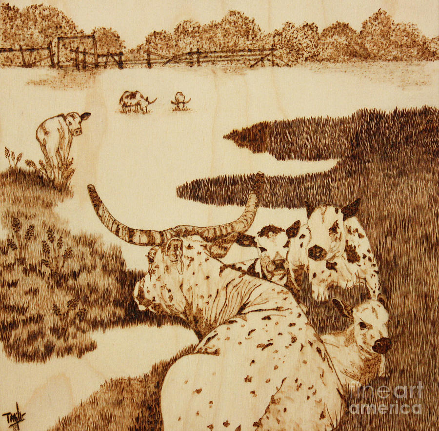 Looking Back Pyrography by Terri Mills