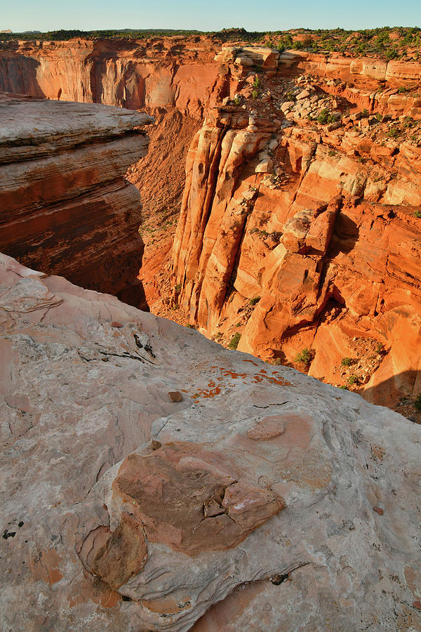 Looking Down at Orange Cliffs in Canyonlands Photograph by Ray Mathis
