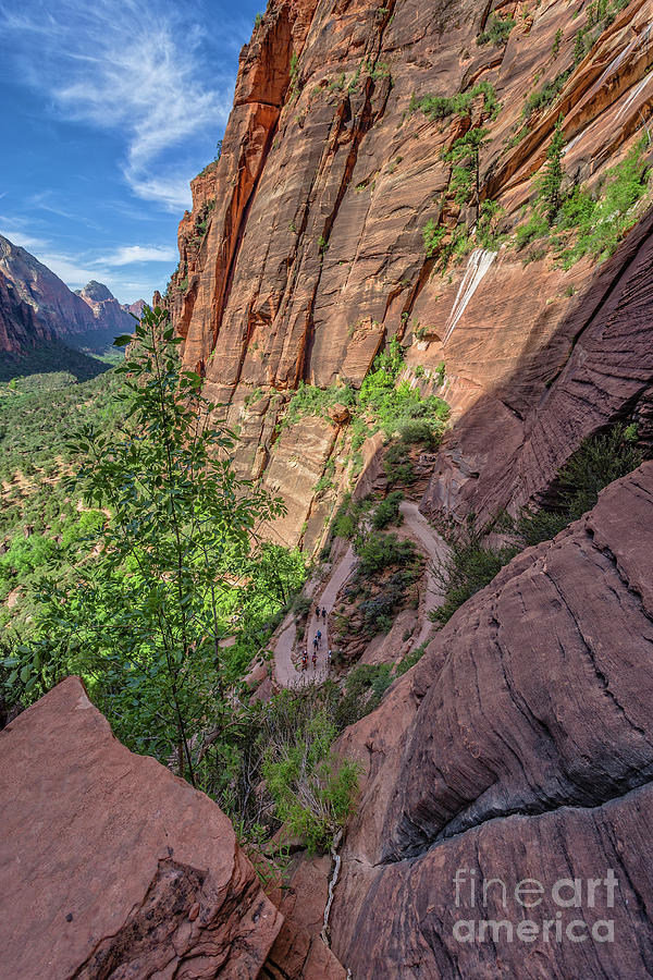 Zion National Park Photograph - Looking Down From Above Zion National Park Angels Landing by Edward Fielding