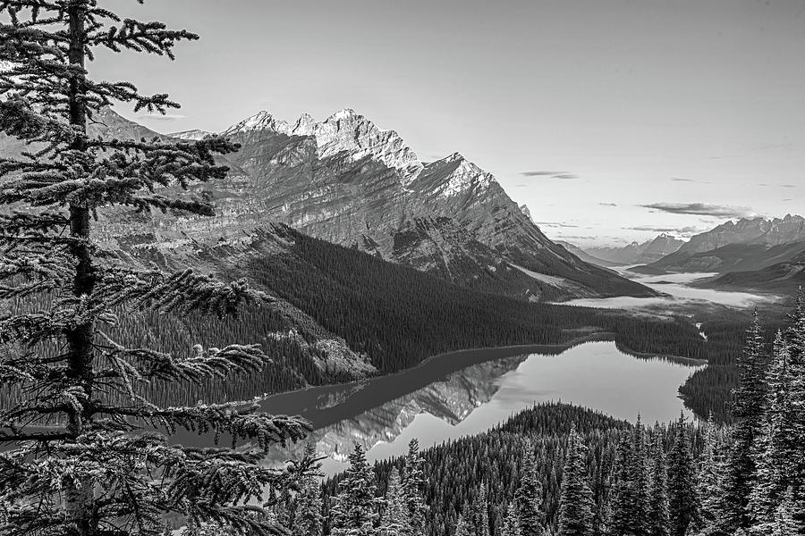 Looking Down on Peyto Lake Banff National Park Canada Black and White Photograph by Toby McGuire