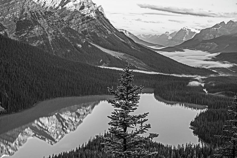 Looking Down on Peyto Lake Banff National Park Canada Reflection Black and White Photograph by Toby McGuire