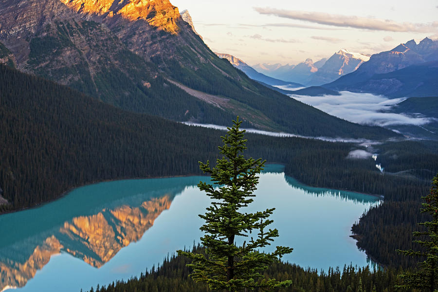 Looking Down on Peyto Lake Banff National Park Canada Reflection Photograph by Toby McGuire
