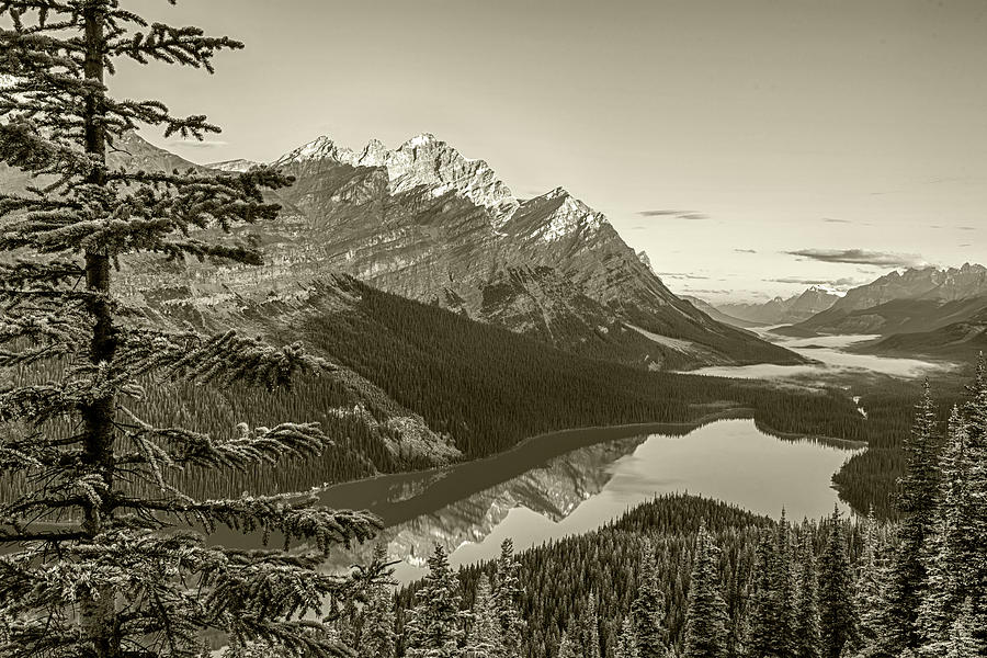 Looking Down on Peyto Lake Banff National Park Canada Sepia Photograph by Toby McGuire