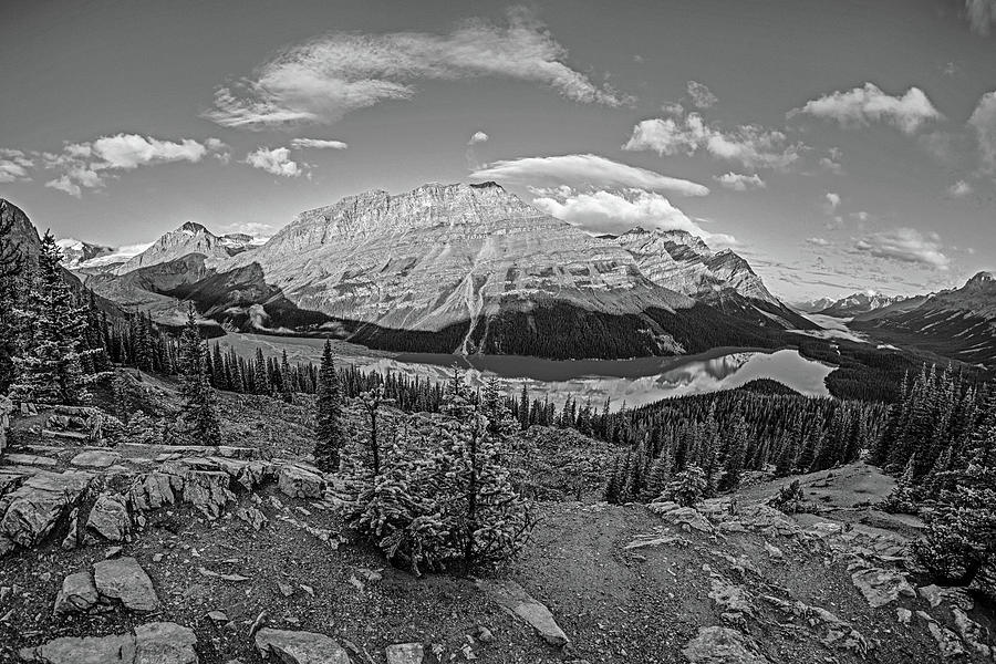 Looking Down on Peyto Lake Banff National Park Canada Wide View Black and White Photograph by Toby McGuire
