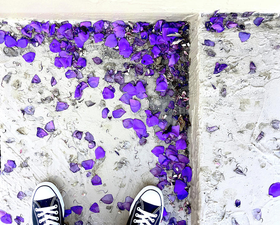Looking down on purple petals 1 by Michael Van Huffel Looking down on purple petals 1 by Michael Van Huffel