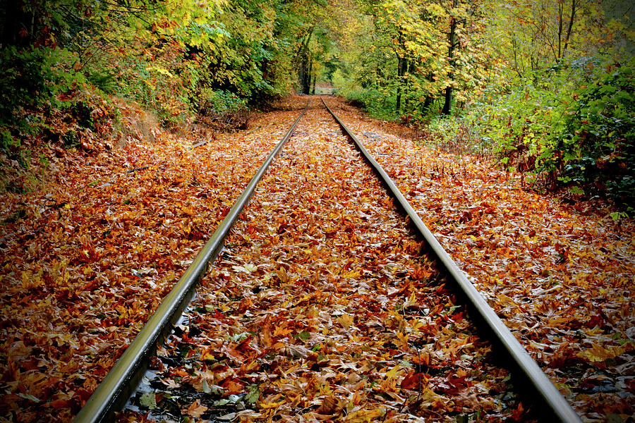 Fall Photograph - Looking Down The Tracks by Susan Vizvary Photography