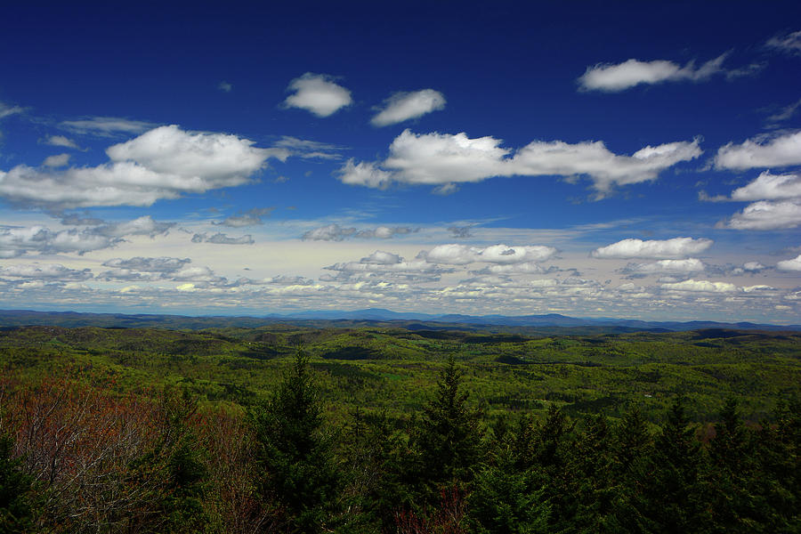 Looking from The Lookout on the Vermont Appalachian Trail Towards NH Photograph by Raymond Salani III