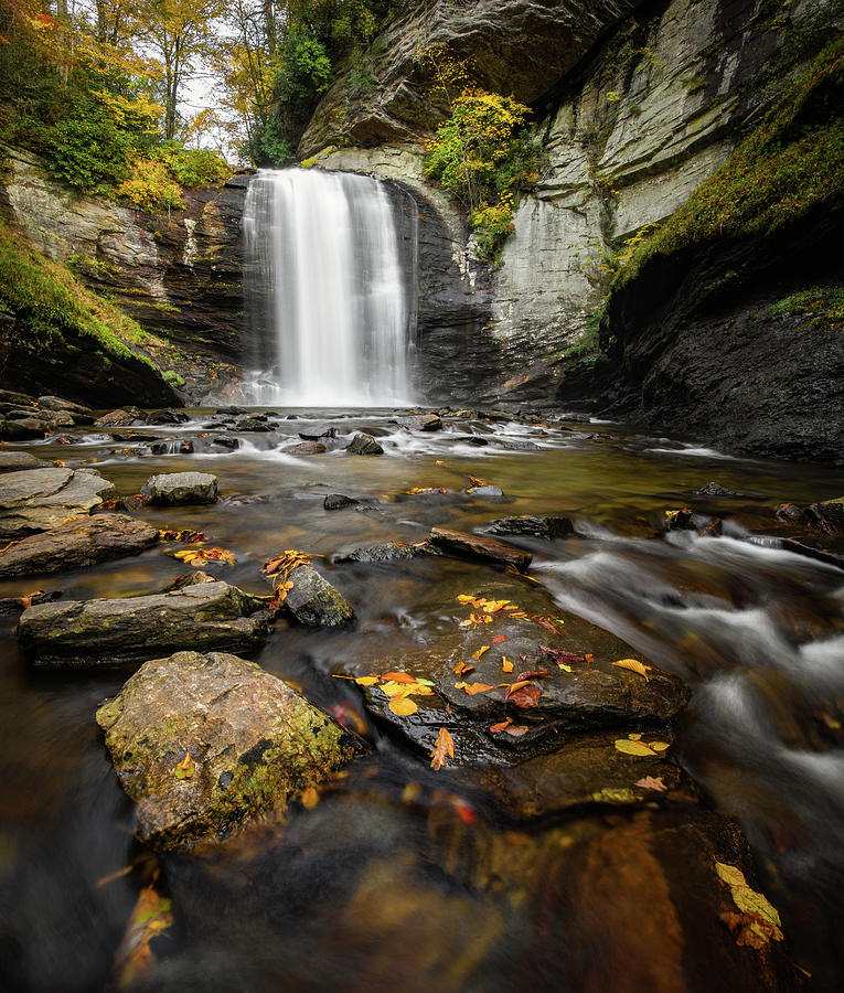 Looking Glass Falls Autumn Setting Photograph by Donnie Whitaker
