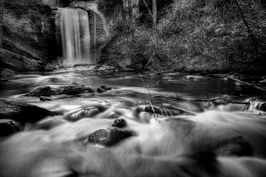 Looking Glass Falls In Black And White Photograph by Carol Montoya