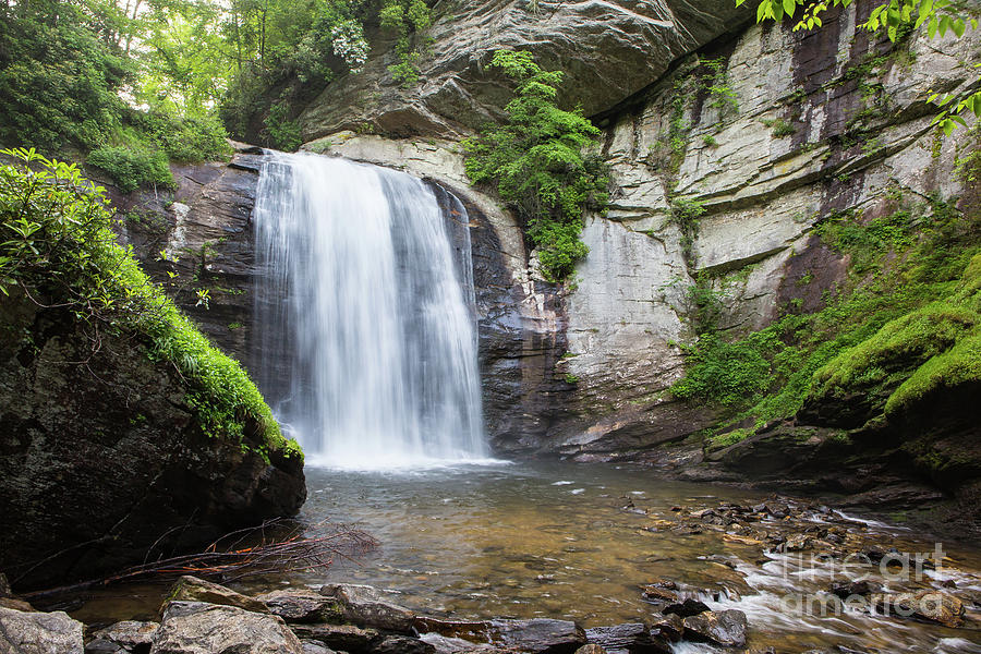 Looking Glass Falls in North Carolina 1 by Kevin McCarthy Looking Glass Falls in North Carolina 1 by Kevin McCarthy