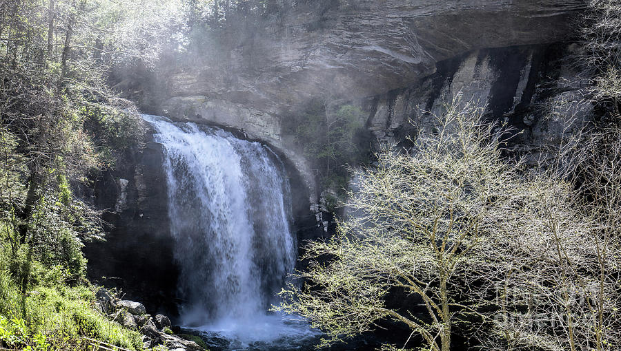 Looking Glass Falls, North Carolina Photograph by Felix Lai