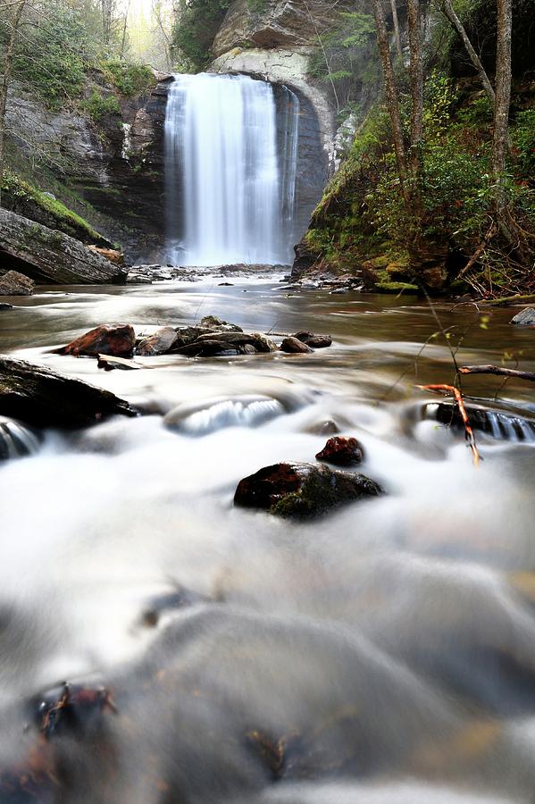 Looking Glass Falls Pisgah National Forest II Photograph by Carol Montoya