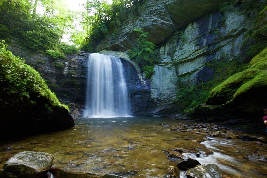 Looking Glass Falls Photograph by Scott Gray - Fine Art America