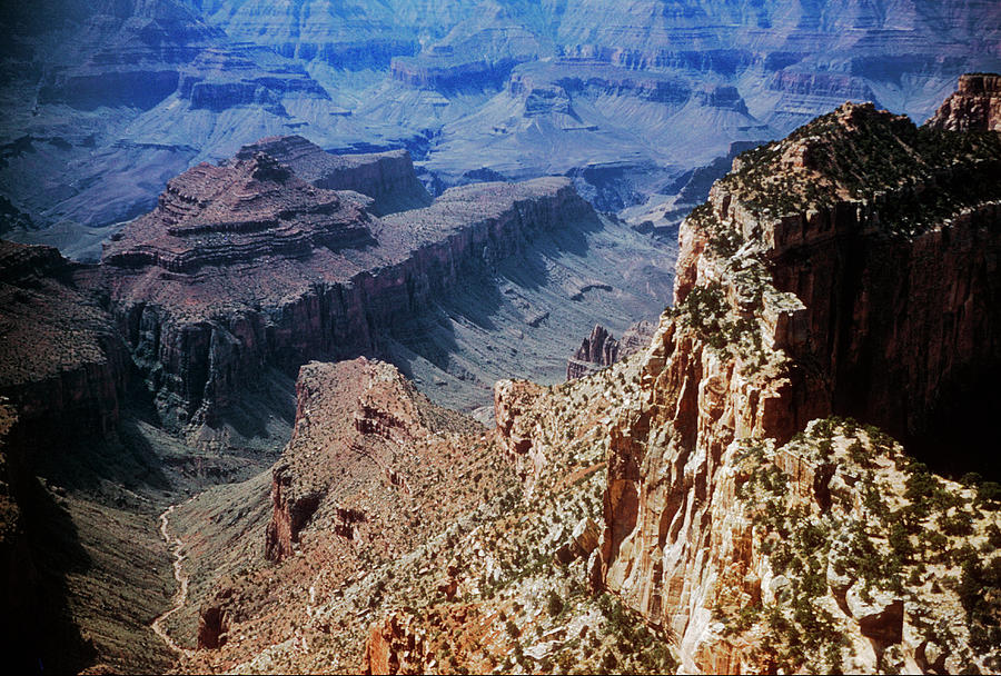 Looking Into The Bottom Of The Grand Canyon, Cape Royal - GRAN100 00517 ...