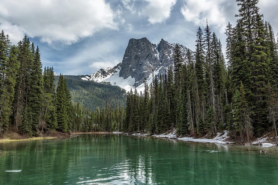 Looking South Towards Mt Burgess From Emerald Lake Photograph by ...