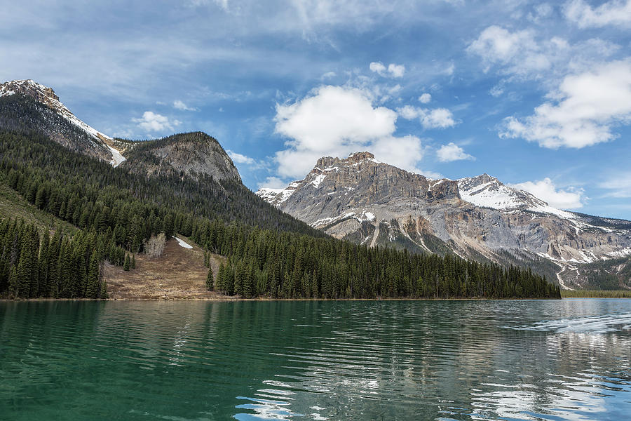 Looking Towards an Avalanche Area at Emerald Lake by Belinda Greb Looking Towards an Avalanche Area at Emerald Lake by Belinda Greb