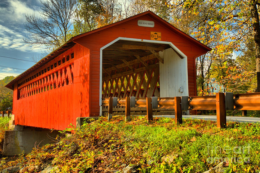 Looking Up At The Silk Covered Bridge Photograph by Adam Jewell