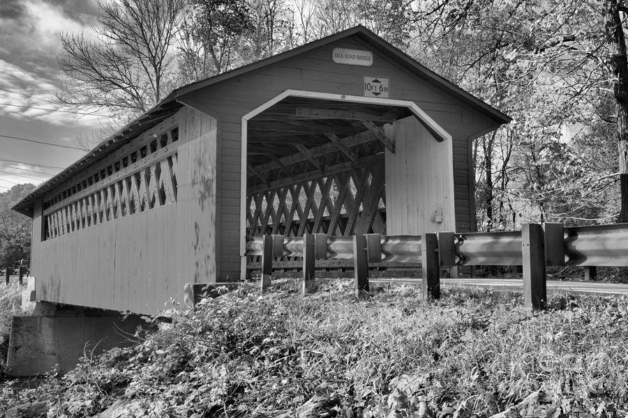 Looking Up At The Silk Covered Bridge Black And White Photograph by Adam Jewell