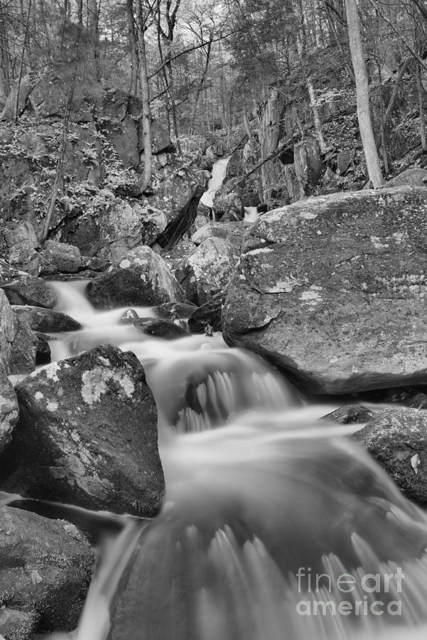 Looking Up Goldmine Brook Falls Canyon Black And White Photograph by Adam Jewell
