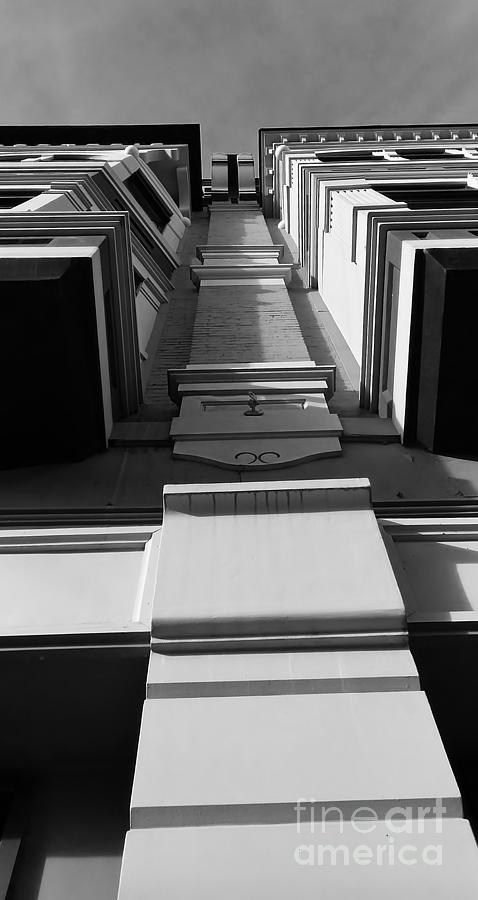 Looking Up by Jeni Gray Looking Up by Jeni Gray