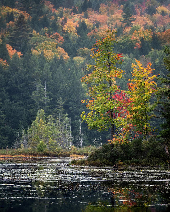 Loon Lake by Brad Wenskoski Loon Lake by Brad Wenskoski