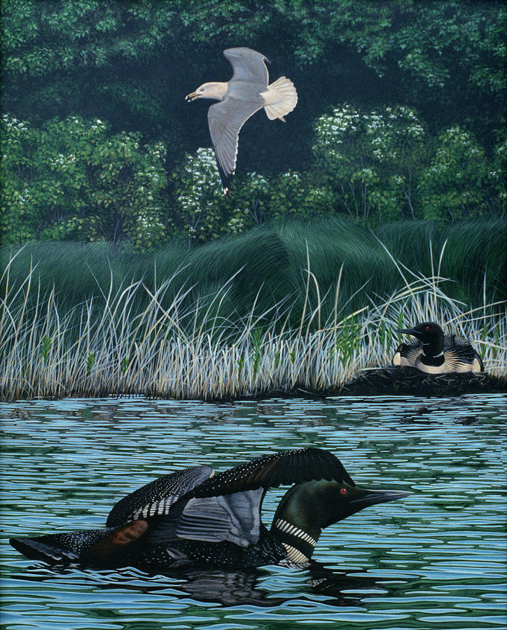 Loon Threat Painting by Rusty Frentner