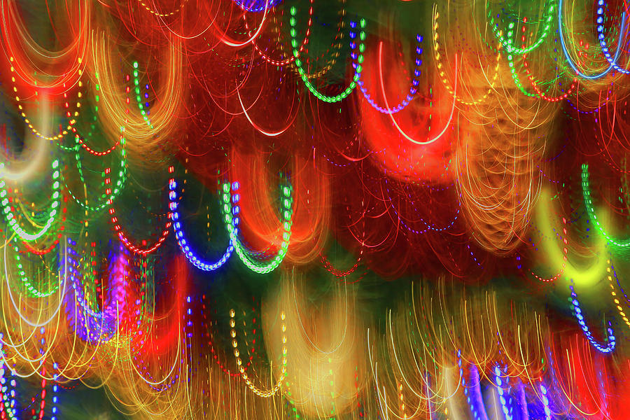 Loop de Loop by Nareeta Martin Loop de Loop by Nareeta Martin
