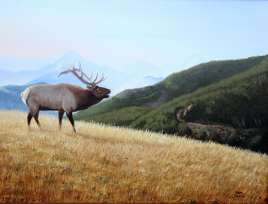 Lord of Hayden Creek by Thomas Colstad Lord of Hayden Creek by Thomas Colstad