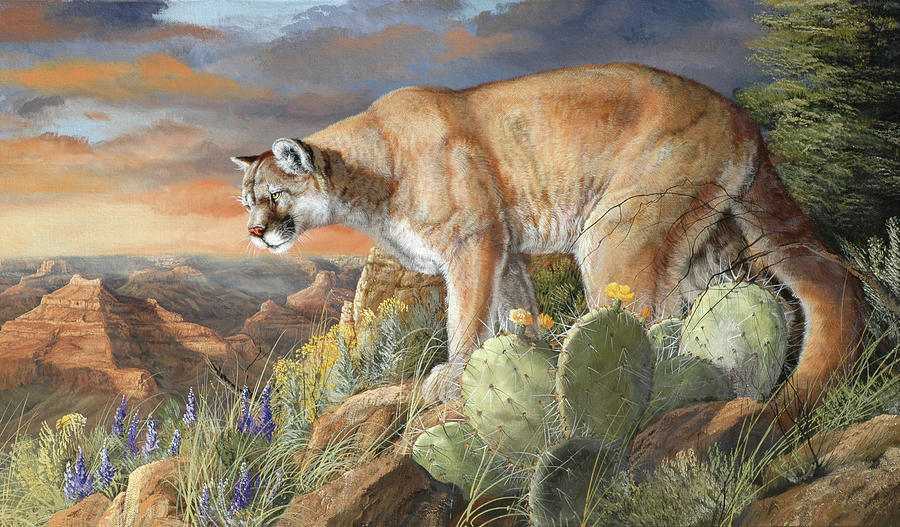 Wildlife Painting - Lord Of The Canyon by Trevor V. Swanson Wildlife Painting - Lord Of The Canyon by Trevor V. Swanson