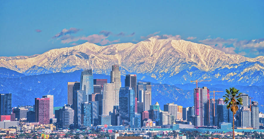 Los Angeles Sitting Under Snow Photograph by Lynn Bauer