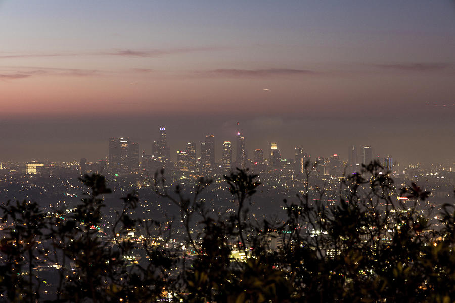 Los Angeles Sunris  Photograph by John McGraw