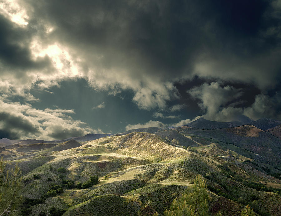 Los Padres National Forest East Of Photograph by Ed Freeman