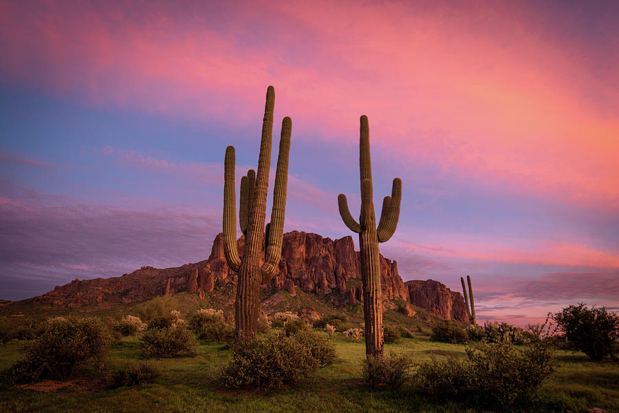 Lost Dutchman Photograph by AJ Ringstrom | Fine Art America