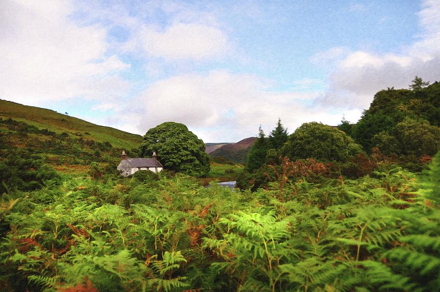 Lost in Ferns. Wicklow Hills Photograph by Jenny Rainbow