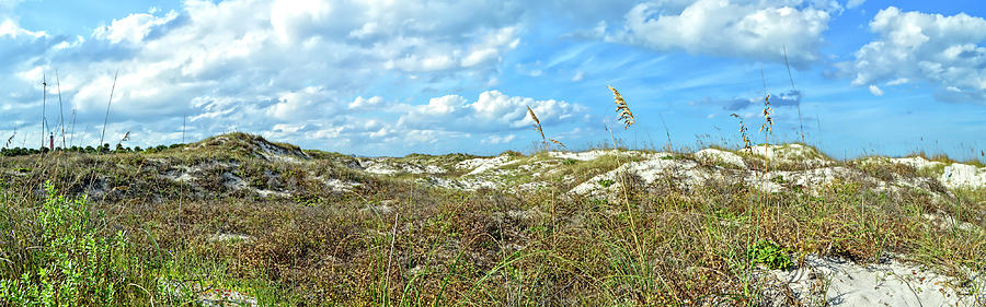 Lost In The Dunes Photograph