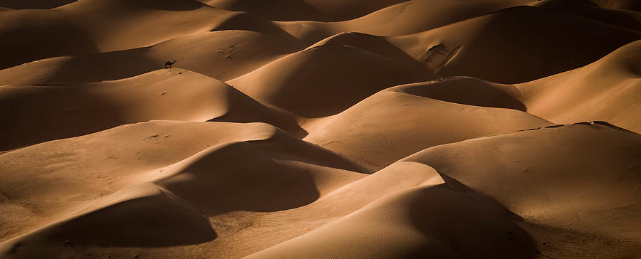 Lost In The Golden Dunes Photograph by Khalid Jamal