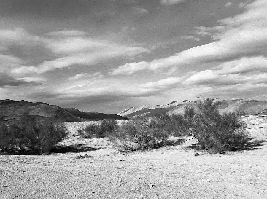 Lost In The High Desert Photograph by Joe Schofield
